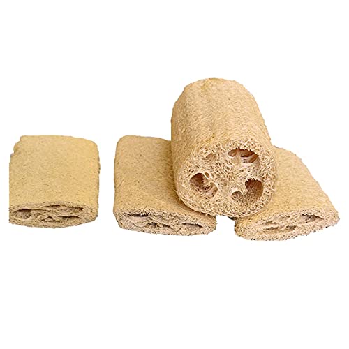 VRw`} w`}X|W w`}킵 {fBX|W }bT[W {fBPA HuV M H Lb`pi Ȃ ꂪȂ _炩 {fBuV V[uV CX|W Vӂ𑣐i p F (4PCS