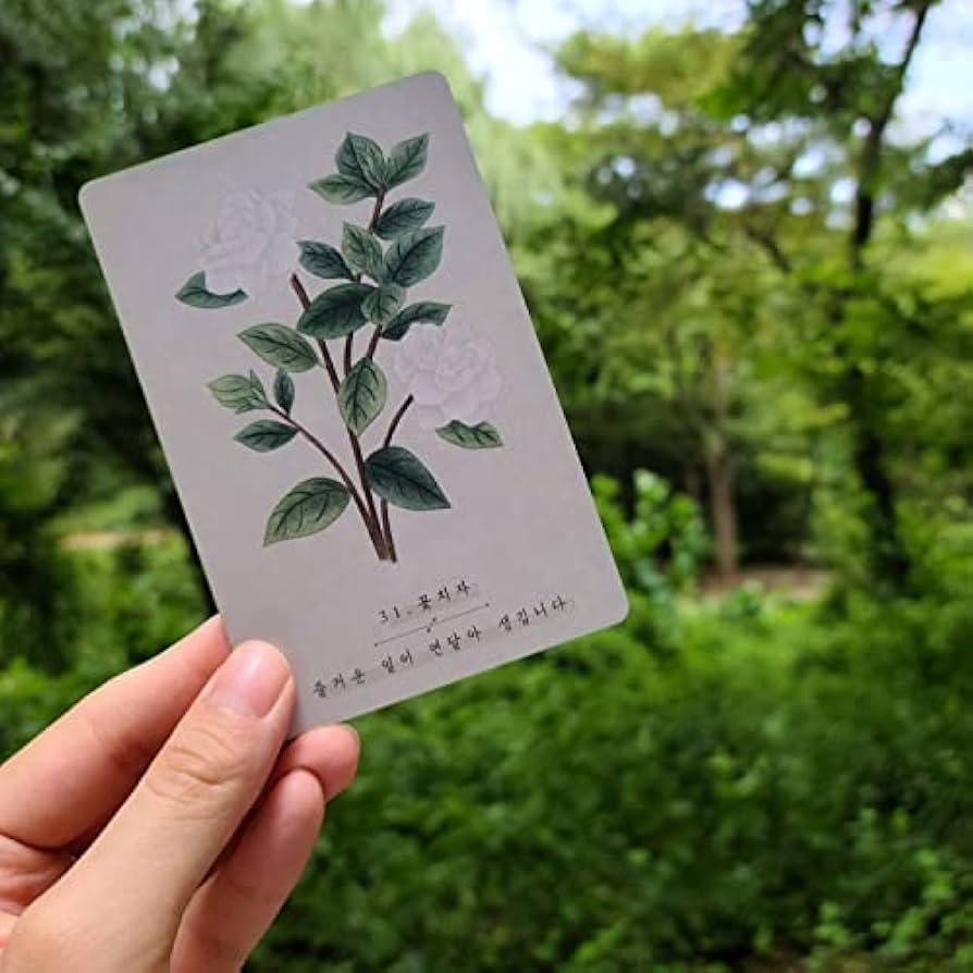 Amazon | Kancharo オラクルカード 60 枚 タロット占い【韓国