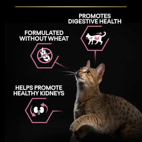 PRO PLAN Delicate Digestion Turkey Dry Cat Food 3kg - Image 6