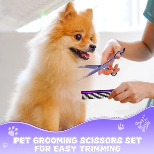 Image of Professional Dog Grooming Scissors Set - 7 Inch /8 Inch Curved and Thinning Shears with Grooming Comb