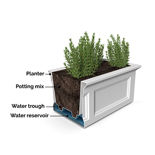 Mayne Fairfield Elevated Garden Bed - Graphite Grey - 48In L X 18In W X 14In H - With Built-In Water Reservoir (4890-Grg) #TOP4