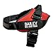 Personalized No Pull Dog Harness with Custom Name and Phone Number, Heavy Duty Medium Large Pet Vest to Prevent Tugging, Pulling, or Choking, Training and Walking