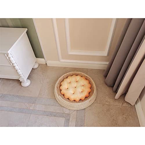 Jianeexsq 3D Soft Simulation Soda Crackers Shaped Novelty Throw Pillows, Funny Food Shaped Pillow, Seat Pad Cushion, Home Decor (Round) (P001) #TOP3