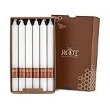 Root Unscented Timberline Arista Dinner Candles, 9-Inch Tall, Box of 12, White