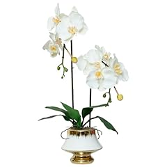 White- White Goldvase