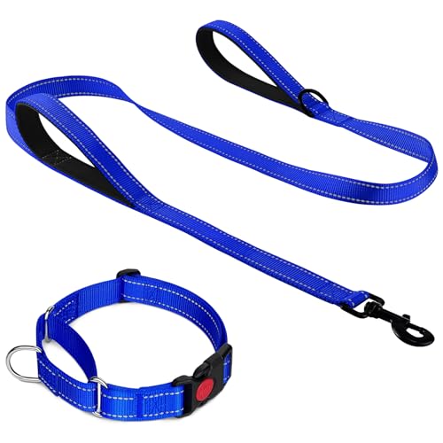 Joytale Martingale Dog Collar(12.5-16''), 6FT Double Handle Dog Leash for Training, Navy Blue