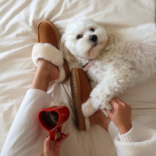 Image of Dearfoams Women's Sydney Shearling Indoor /Outdoor Water Resistant Scuff Slipper