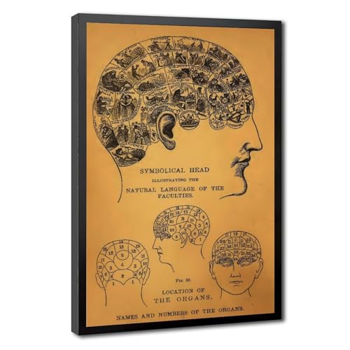 Poster vintage phrénologique WCYB sur toile pour habiller un mur vide de bureau facilement