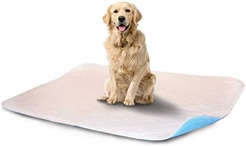 LennyPads Ultra Absorbent, Reusable, Training, Housebreaking and Travel Washable Pee Pads - (48”x48”) Jumbo Pad