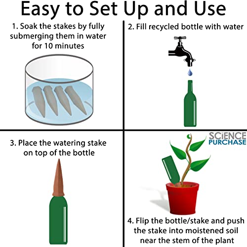 Set of 4 Plant Sitter Self-Watering Stakes for Indoor and Outdoor Plants - Science Purchase - Thumbnail 2