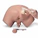Nasco Life/form Prostate Examination Simulator - Model LF00901U - Each