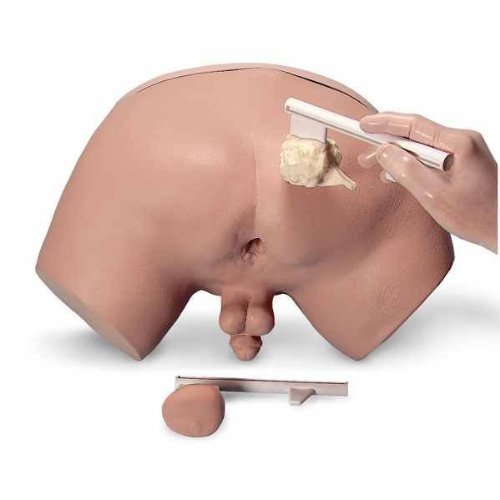 Nasco Prostate Exam Simulator