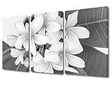 Black and White Wall Art Plumeria Pictures for living room Tropical Flower Canvas Paintings Modern Home Decor 3 Piece Artwork Room Decorations giclee Framed Stretched Ready to Hang 36x24 in