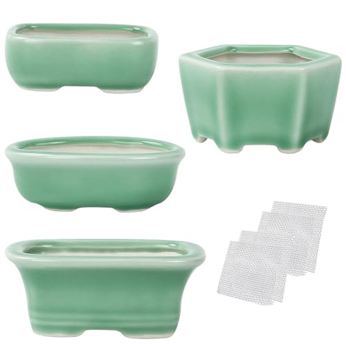 happy bonsai Mini vasi verdi 3.2-3.9 (8-10 cm), set conveniente da 4