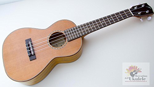 Ukulélé Mahimahi Willow Concert pour animer vos soirées entre amis