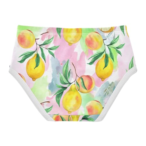 Designer Toddler Underwear Custom 2t Cotton Panties Little Girl Watercolor Lemon Peaches Fruits Underpants Briefs2