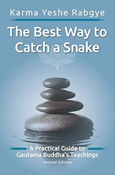 Paperback The Best Way to Catch a Snake: A Practical Guide To Gautama Buddha's Teachings Book