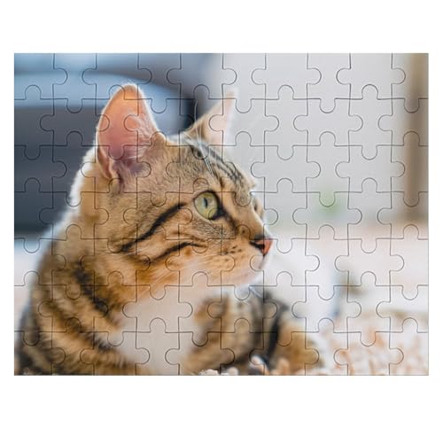 L   pY NG[VAjObY 킢 l jp D ߋ t@[Xg`CX ؐ  Ǐ葡蕨 av[g 70 PCS