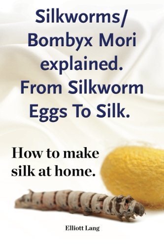 Silkworms Bombyx Mori explained. From Silkworm Eggs To Silk. How to make silk at home.