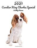  2021 Cavalier King Charles Spaniel Weekly Planner: 14 Months  124 pages 8.5x11 in.  Diary  Organizer  Agenda  Appointment  Calendar  For Dog Lovers