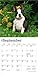 Boston Terrier Puppies | 2026 7 x 14 Inch (Hanging) Monthly Mini Wall Calendar | BrownTrout | Animals Dog Breeds Puppy