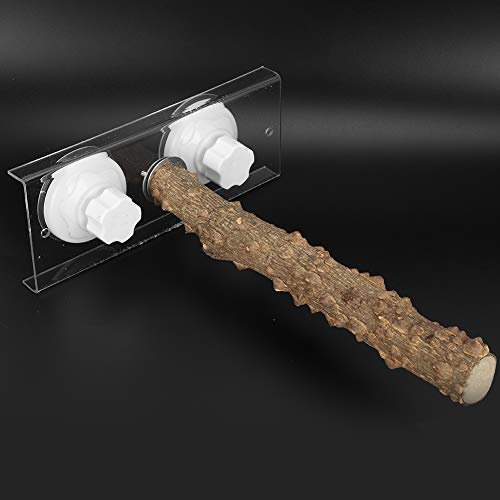 Phefop Rod de Estimação Com um Copo de Sucção, Voinuschusche Resistente à Mordida para Limpeza de Pe