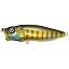 PM Wild Gill