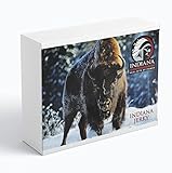 Indiana Jerky MIX, High Protein Trockenfleisch Geschenkbox, ohne Zuckerzusatz, Gluten-frei, Geschenkbox (MIX 6 x 90g)