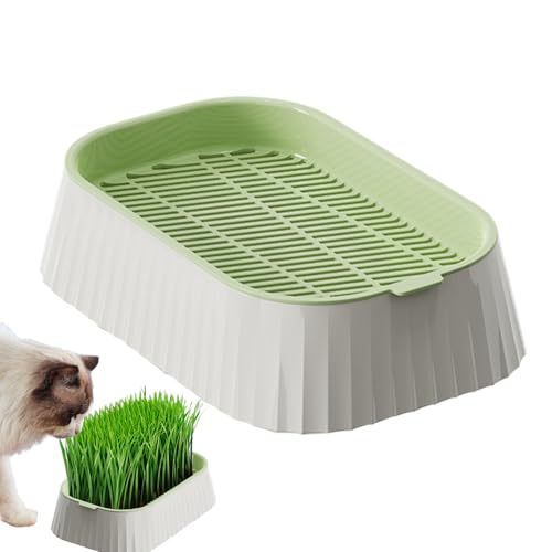 Fangfhai Coltivatore di per gatti | Vaso per per animali domestici | Contenitore idroponico a doppio strato, strumenti per piantare di grano germinazione vivaio per gattini