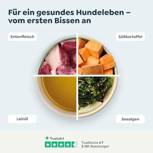 WOW Dog Senior Nassfutter mit Ente | Mit hohem Fleischanteil, ohne Getreide und Zucker | 150 g / 22er Pack