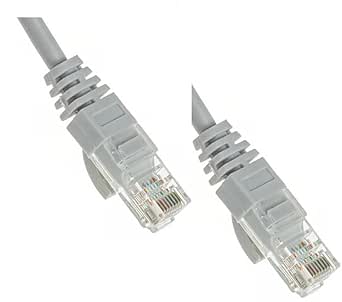 Inforbit Ethernet Patch Cable 1 Meter CAT 5E : Amazon.in: Computers ...