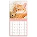 2020 Cat Dreams Wall Calendar