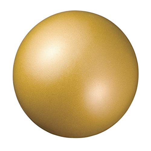 ライザップ式 ダイエットボール 商品画像