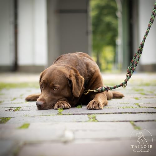 Tailoir Hundeleine 2m geflochten - Leine Hund, Mittelgroße - Große Hunde, Leine verstellbar, Hundeleinen, Dog Leash Führleine, Bissfeste Hundeleine zum Umhängen, Trainingsleine, Freihandleine Paracord