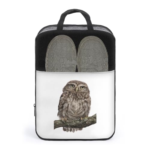 V[YP[X ӂ낤  V[YobO V[Y|[` V[Y gx|[` C  V[Y o s y ^тɕ֗ [obO ւ jp AEghA o s v[g