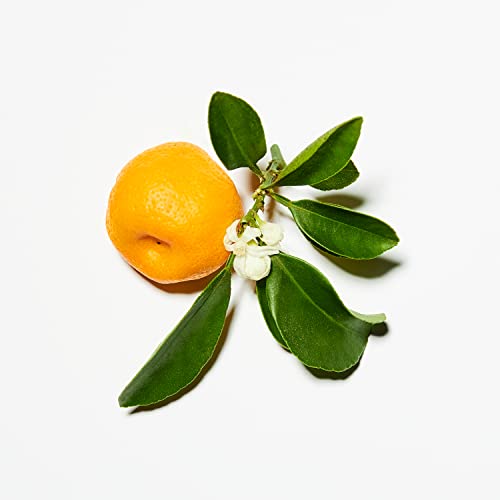 Foto von BERLINER HAARWASSER 50 ML | Haartonikum aus Ginkgo, Silber und Koffein | ohne Alkohol | Vegane Naturkosmetik | made in Germany | URBAN COSMETICS BERLIN