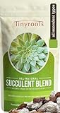 Tinyroots Succulent and Cactus Soil Mix – Fast-Draining 2.25 Qt Indoor/Outdoor Blend with River Sand, Double-Sifted Bark & Calcined Clay, Root Rot Resistant, Greenhouse-Grade Quality