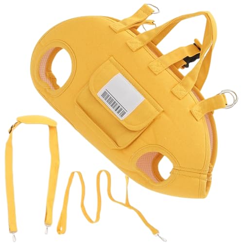 Harnais de levage pour chien idéal pour sorties au parc et marche