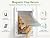 Pet Door, Interior and Exterior Large Dog Doors, PC Frame and Telescoping Tunnel Doggy and Cat Doors, Doggie Door with Double Magnetic Flaps and Sliding Lock Panels (Pets Up to 100 Lb) L