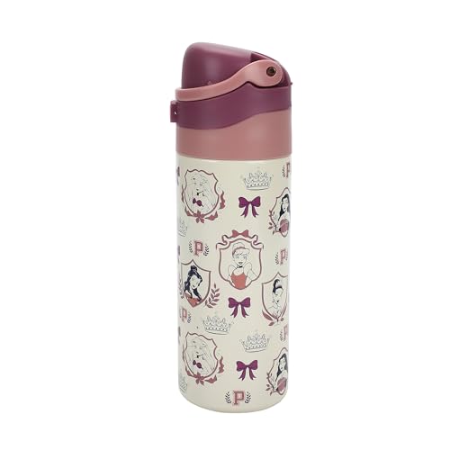 Image of Disney Princess All-Over Character Print 24 Oz Stainless Steel Water Bottle