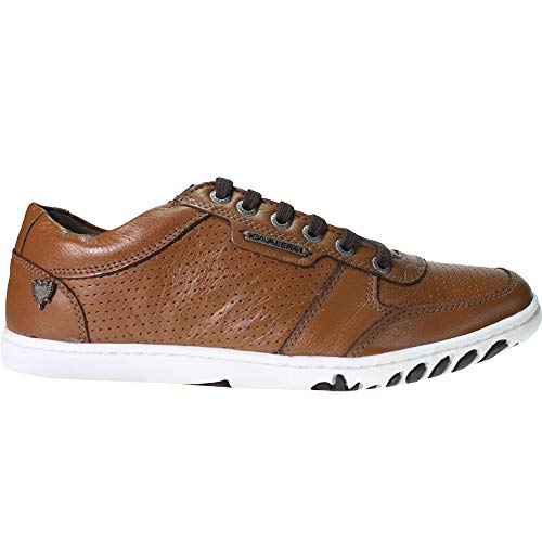 TENIS CAVALERA MILO 13011938-CHO 41 CHOCOLATE