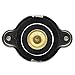 MotoRad Radiator Cap, black