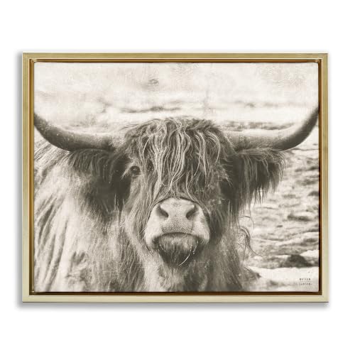 Highland Cattle Gazing Country, 17 x 21 Inch Canvas in Floater Frame