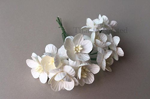 50 Pcs Mini Paper Flower White Color 20-25 Mm Mulberry Paper Flowers, Small Paper Flower For Scrapbooking Embellishment Diy Wedding Card Supplies (White Color) #TOP6