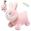 Pink Rabbit