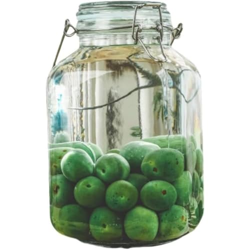 FiveLn ~ r KXт ʎт 2L/3L/4L/5L eʐHiۑe KX r e LjX^[ R[q[ t ۑe ʎ Â (4L,lp^) [sAi]