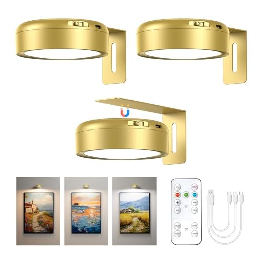 3 Stück Bilderleuchte Kabellos mit Fernbedienung, 2000mAh USB Aufladbar LED Dimmbar Bildbeleuchtung Kabellos, Magnetisch Wandlampe mit 3 Farbtemperaturen & Timer für Bilder GemäLde Kunst Wand (Gold)