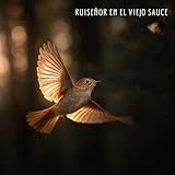  Vuela En Círculos