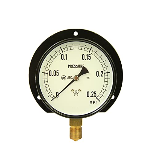 右下精器 汎用圧力計B100・G3/8 S-42・0.25MPA