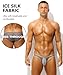 PAIZH Men's Sexy Low Rise Briefs See-through Ice Silk Bikini Soft Sheer Bulge Pouch Underwear Grey XL